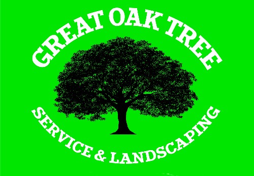 GREAT-OAK-TREE-01